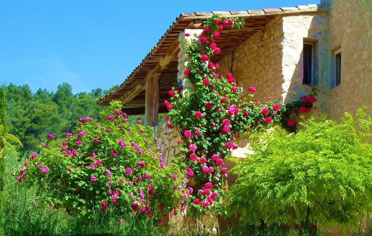 Le Mas Sérénité Ansouis Exterior foto
